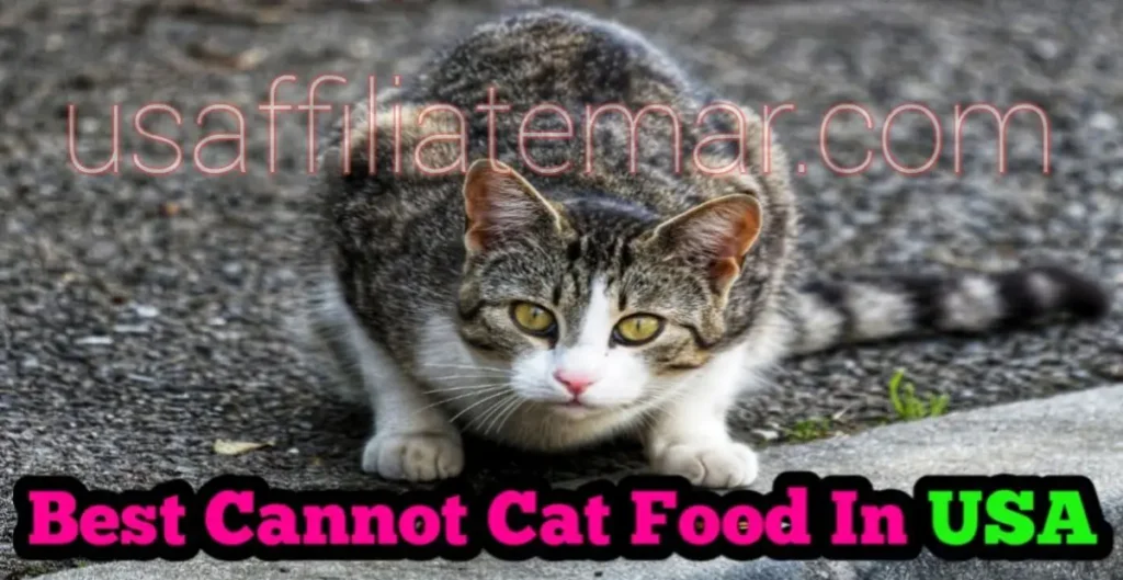 Best Canned Cat Food In USA