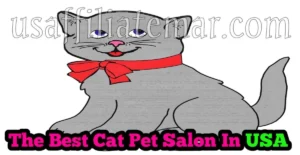 The Best Cat Pet Salon In The USA