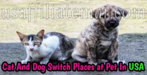 Cats And Dogs Switch Places At Pet Clinic In The USA