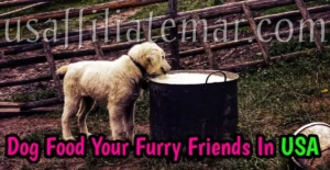 The Perfect Pet Dog Food for Your Furry Friend in the USA