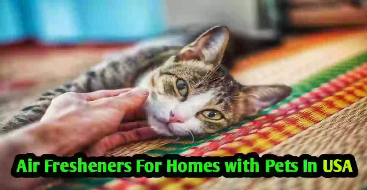 The Best Air Fresheners for Homes with Pets in the USA